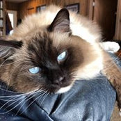 Sheila McRae's photo