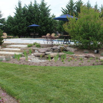 Middletown Backyard