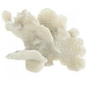 Large White Coral Tabletop Decor