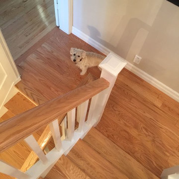 Wainscoting