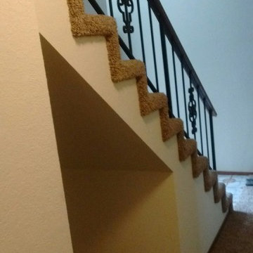 Carpeted Stairs