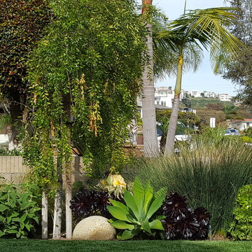 Colorful front yard
