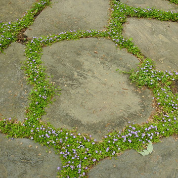 Courtyard Detail