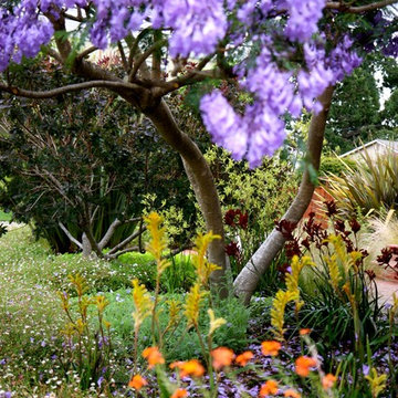 Planting Design