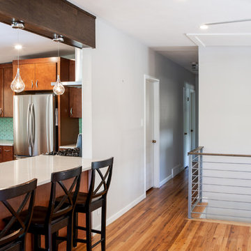 Detroit Street Kitchen Renovation