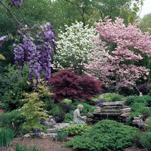 Yard Ideas