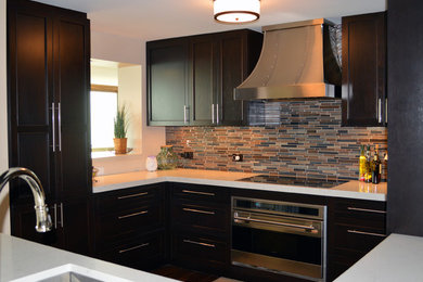 Kitchen - transitional kitchen idea in Chicago