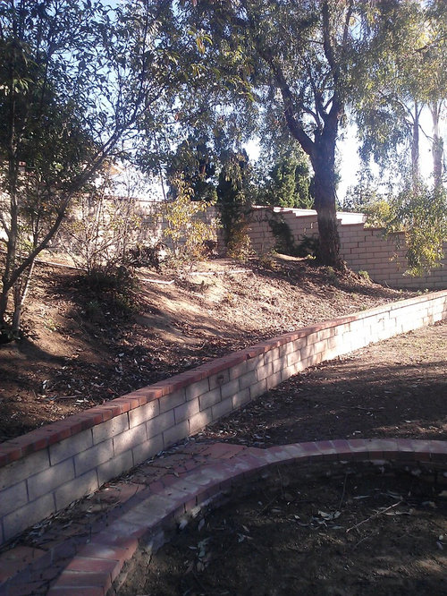 Need help with landscaping a bank