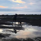 Ananas Lizotte's photo