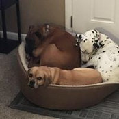 Ben Slizeski's photo