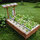 growbot