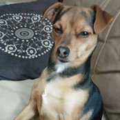 Claudette Drapeau's photo