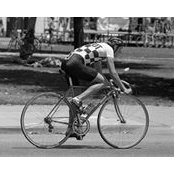 Sean Wilson's photo