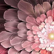 Mary Prisbrey's photo