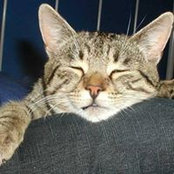 Barbara Ha's photo