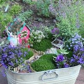 Kathy Bencker's photo