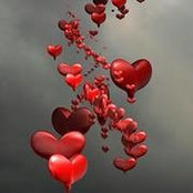 Foto von Debra Bell