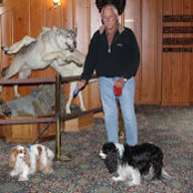 Thomas Webster's photo