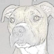 Keith Levesque's photo
