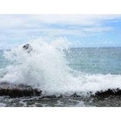 Jessica Warren's photo