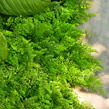 Urban Yard at the Seattle Box