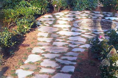 Inspiration for a partial sun stone garden path in Other.