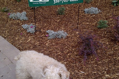 Photo of a mediterranean landscaping in Los Angeles.