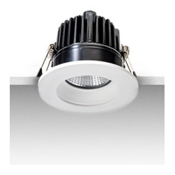 Dennit Small Fixed Downlight - Spot Lights