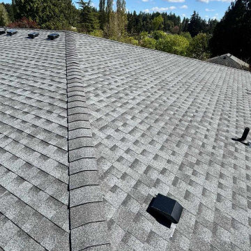 Roof Replacement