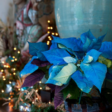 Christmas in Santa Fe