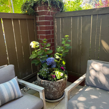 Backyard Transformation