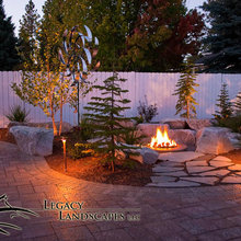 Backyard ideas for future