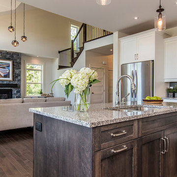 Indigo Shores Information Center & Model Home Staging Project