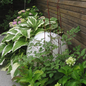 Reihenhausgarten