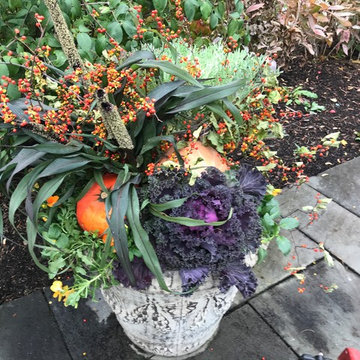 Container Gardens- Fall