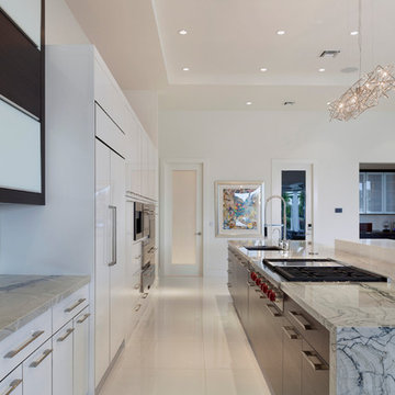 A striking contemporary kitchen