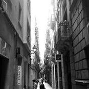 Rachel Spensatelli's photo