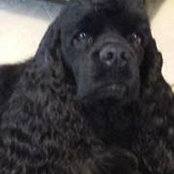 Donna Seewer's photo