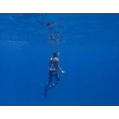 Kristina Beaver's photo