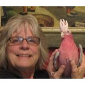 Kathy Doddss billede