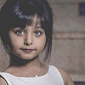 نوآر القآقs foto