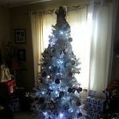 Pam Haacke's photo