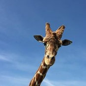 Christina Garrison's photo