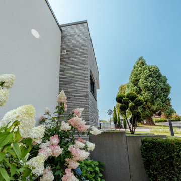 MFH | Westerwald