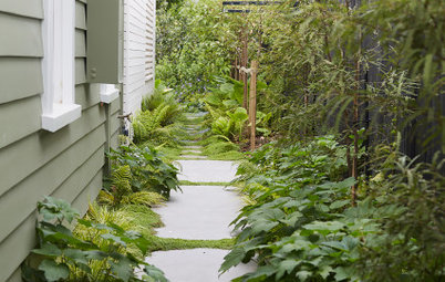 18 Narrow Side Gardens That Bring Beauty to Shade