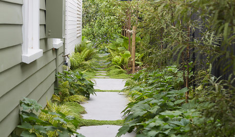18 Narrow Side Gardens That Bring Beauty to Shade