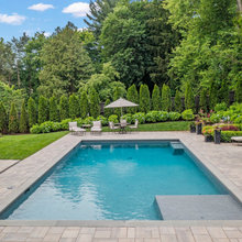 Pool/Backyard