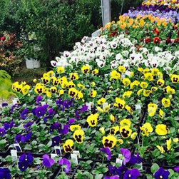 Nursery - Gardening And Lawn Care