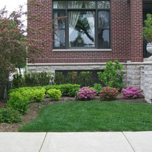 Front yard