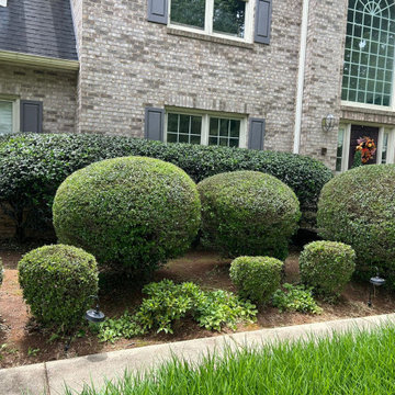Landscaping